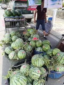 阜新吃瓜事件网红,网红引发的网络狂欢与反思