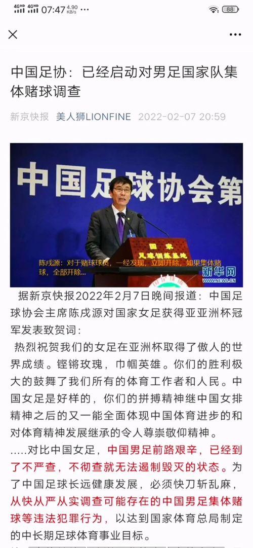 南京吃瓜协会地址查询官网,南京吃瓜协会地址周边美食探秘