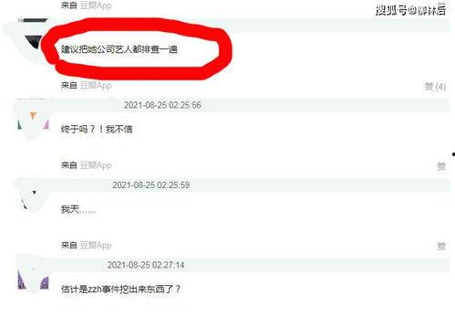 吃瓜明星专栏官网,吃瓜明星专栏官网带你探秘明星幕后生活