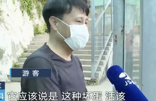 李明德网红吃瓜,揭秘娱乐圈幕后真相